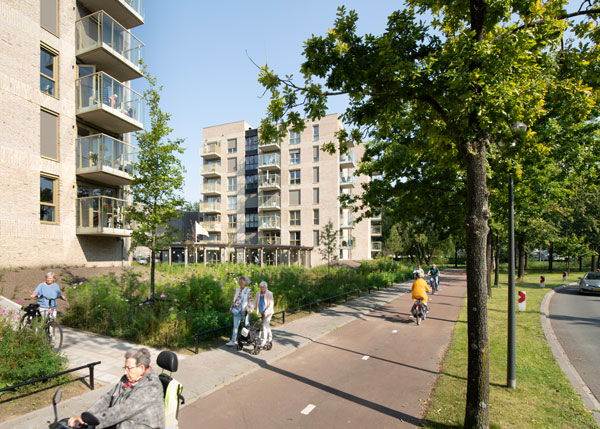 Stedenbouwkundig plan en inrichtingsplan Ruitersbos, Breda